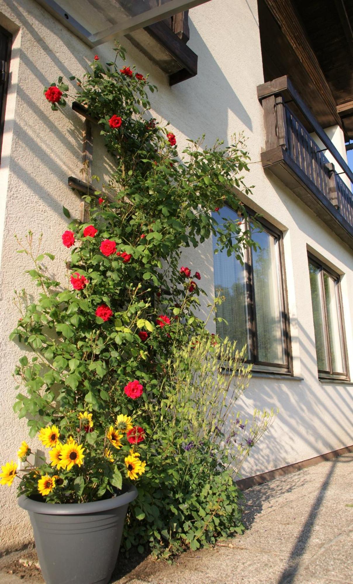 Die Sonnenblume Sankt Kanzian am Klopeiner See Exterior foto
